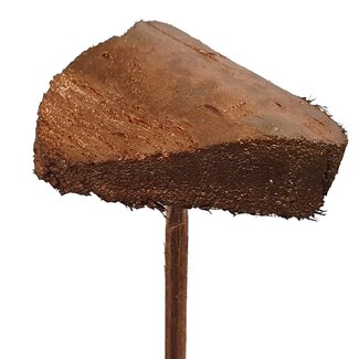 QC Coconut Heart on stick | Colour: Copper-coloured | Coconut Plant Stake | Stake length ± 50 centimetres | Per 50 stakes