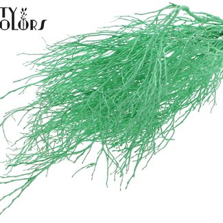 QC Dried Huckleberry | Colour: Mint Green | Vaccinium Dried Flower Branches | Per 5 bunches