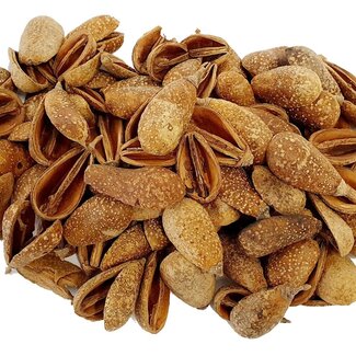 QC Droogdeco Mike Fruit Blaadjes | Kleur: Naturelle | Droogdecoratie | Inhoud zakje 500 gram | Per 4 zakken