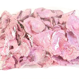 QC Dried Golden Mushroom | Colour: Pearl Pink | Polypore Fungus Dry Decoration | Weight per bag 100 grams | Per 4 bags