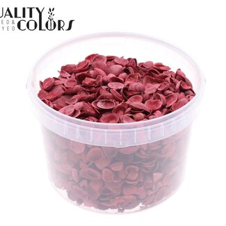 QC Coquillages de la mer du Nord dans un seau réutilisable | Couleur : Rouge | Contenu du seau : 3 litres | Par seau