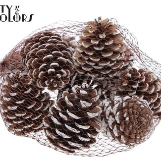 QC Pommes de pin | Couleur : Blanc Pointu | Diamètre 7 - 10 centimètres | 10 pièces par filet | Par 4 filets