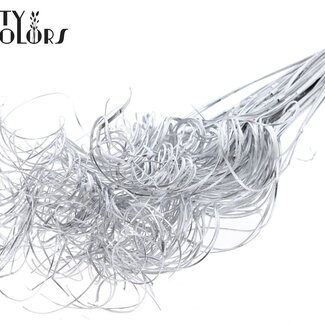 QC Gekräuseltes Palmblattnerv | Farbe: Silberfarben | Curly Ting Ting | Länge ± 70 Zentimeter | 3 Nerven pro Zweig | 33 Verzweigungen | Pro Bund