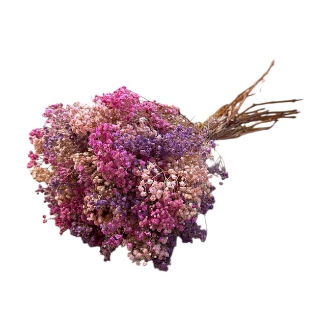 Mélange de Gypsophile rose violet Fleurs séchées | Gypsophile préservée | Longueur ± 65 centimètres | Par 100 grammes