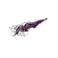 Purple Curly Ting Ting dried flowers | Length ± 60 centimetres | Weight ± 100 grams
