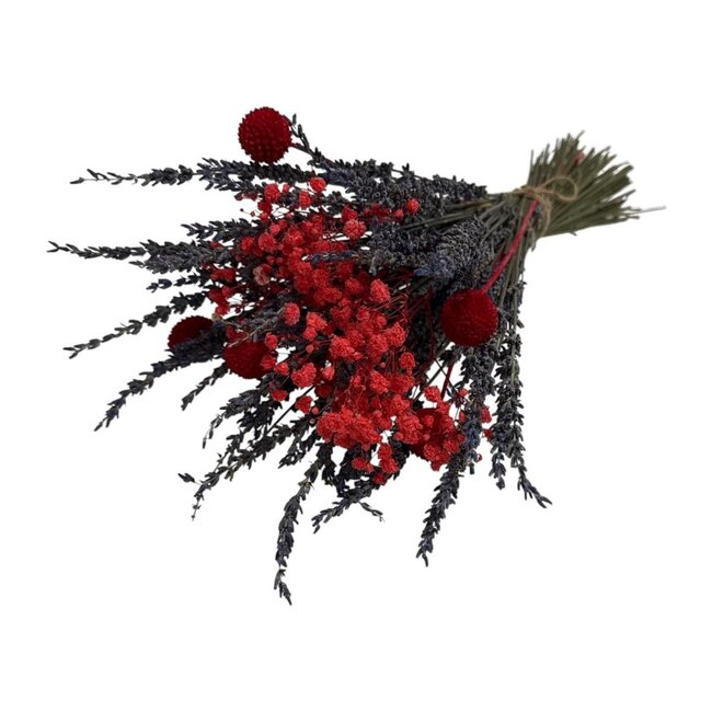 Bouquet de fleurs séchées "Spécialement pour toi" | Longueur ± 45 centimètres | Avec Gypsophile rouge, Lavande et Craspedias rouges