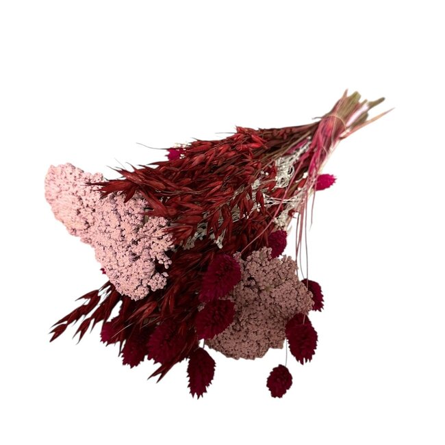 Trockenblumenstrauß "Layla" | Länge ± 50 Zentimeter | Mit rosa und roten Trockenblumen