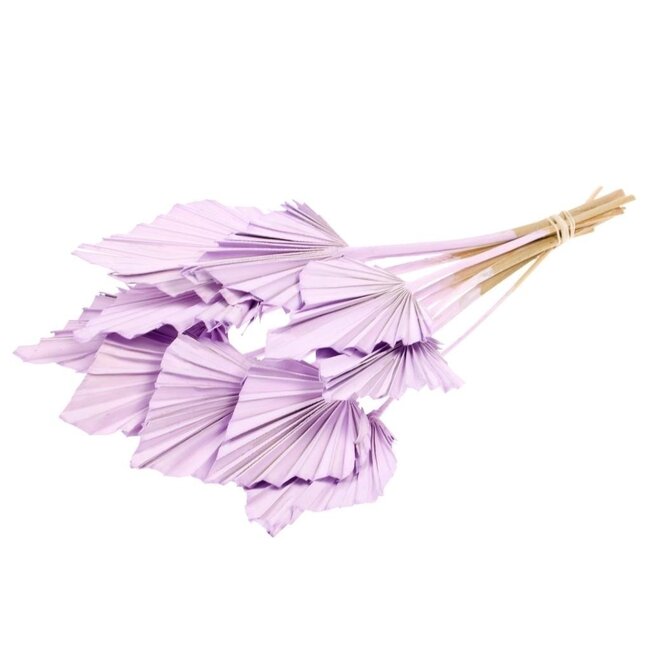 Purple Dried Palm Spear | Length ± 45 centimetres | Per 10 stems