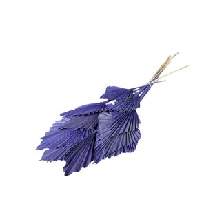 Dutch Dried Milka Frosted gedroogde Palm Speer | Lengte ± 45 centimeter | Per 10 takken