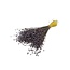 Lilac Frosted Linum - Flax dried flowers | Length ± 65 centimetres | Weight ± 150 grams