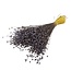 Lilac Frosted Linum - Vlas droogbloemen | Lengte ± 65 centimeter | Gewicht ± 150 gram