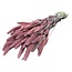 Pink Frosted Setaria dried flowers | Length ± 70 centimetres | Weight ± 150 grams