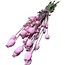 Roze Papaver Somniferum droogbloemen | Lengte ± 65 centimeter | Gewicht ± 200 gram