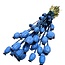 Blauwe Papaver Somniferum droogbloemen | Lengte ± 65 centimeter | Gewicht ± 200 gram