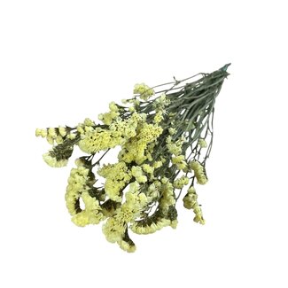 Dutch Dried Lichtgele Statice Sinuata droogbloemen | Lengte ± 70 centimeter | Gewicht ± 75 gram