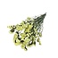 Light Yellow Statice Sinuata Dried Flowers | Length ± 70 centimetres | Weight ± 75 grams
