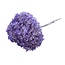 Milka Purple Hydrangea | Preserved Hydrangea | Length ± 60 centimetres | Per piece
