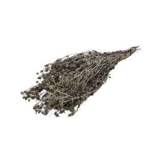 Casa Alegria Naturel Eryngium Cardo S droogbloemen | Lengte ± 65 centimeter | Gewicht ± 125 gram