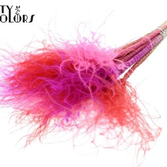 QC Getrocknetes Stipa-Federgras | Love Mix | Farbe: Gemischte Farben | Stypha Penata Trockenblumen | Länge ± 60 Zentimeter | 10 Wedel pro Bund | Pro Bund