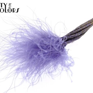 QC Getrocknetes Stipa Federgras | Farbe: Milkalila | Stypha Penata Trockenblumen | Länge ± 60 Zentimeter | 10 Blüten pro Bund | Pro Bund