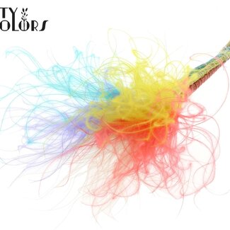 QC Stipa Pennée Séchée | Colourful 5 | Couleur : Couleurs Mélangées | Stypha Penata Fleurs Séchées | Longueur ± 60 centimètres | 10 plumets par bouquet | Par bouquet