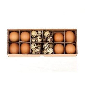 4A Œufs de poule (8x) et œufs de caille (24x) Mix | Couleur : Naturel Brun | Par set