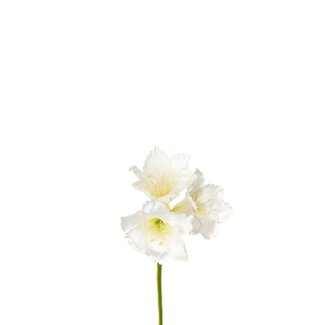 4A Amaryllis Fleur Artificielle | Couleur : Blanc Naturel | Fleurs artificielles Hippeastrum | Longueur ± 65 centimètres | Par 12 fleurs artificielles
