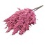 Pink Frosted gedroogde Pampas pluimen | Lengte ± 70 centimeter | Per 10 takken