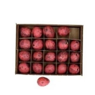 4A Wachteleier | Farbe: Rosa | Durchmesser 2 Zentimeter | Höhe 3 Zentimeter | Pro 24 Eier