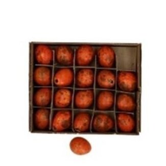 4A Kwarteleieren | Kleur: Oranje | Diameter 2 centimeter | Hoogte 3 centimeter | Per 24 eieren