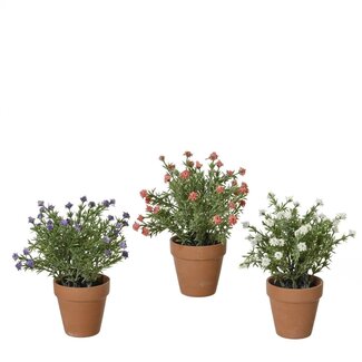 4A Blooming Artificial Plants Assortment | Colour: Mixed Colours | Diameter 7 centimetres | Height 21 centimetres | Per 12 artificial plants