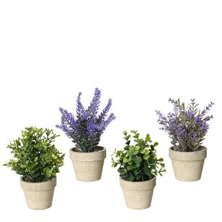 4A Assortiment de Plantes Artificielles avec Pot | Couleur : Couleurs Mixtes | Diamètre 8 centimètres | Hauteur 18 centimètres | Par 12 plantes artificielles