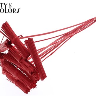 QC Kore Bouquet sur tige | Couleur : Rouge | Longueur de la tige ± 50 centimètres | 10 tiges par bouquet | Par bouquet