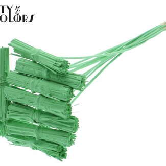 QC Bouquet de Kore sur tige | Couleur : Vert menthe | Longueur du pique ± 50 centimètres | 10 piques par bouquet | Par bouquet