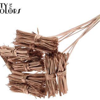 QC Lady Bouquet sur tige | Couleur : Cuivré | Lady Posy Piquet | Longueur ± 50 centimètres | 10 piquets par bouquet | Par bouquet