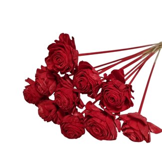 Dutch Dried Rode Shola Beauty Rose | Longueur de la tige ± 50 centimètres | Par 10 piques