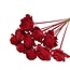 Red Shola Beauty Rose | Stem length ± 50 centimetres | Per 10 add-ons