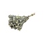 Frosted Grey Carthamus dried flowers | Length ± 70 centimetres | Per 10 stems