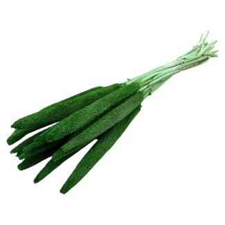 Casa Alegria Green Babala dried flowers | Length ± 65 centimetres | Per 15 stems