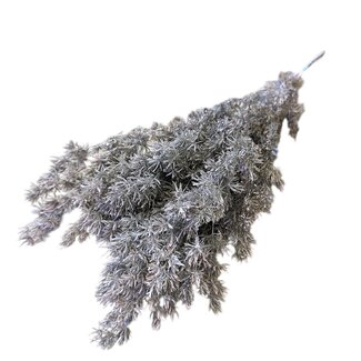 Casa Alegria Pink Asparagus | Preserved branches | Length ± 65 centimetres | Weight ± 150 grams