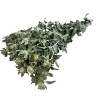 Dutch Dried Natürliche grüne Carthamus Trockenblumen | Länge ± 70 Zentimeter | Gewicht 70 Gramm