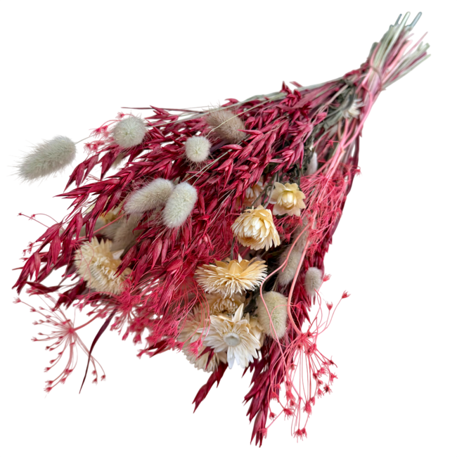 Bouquet of dried flowers "Moulin Rouge" | Length ± 50 centimetres | With pink and white dried flowers
