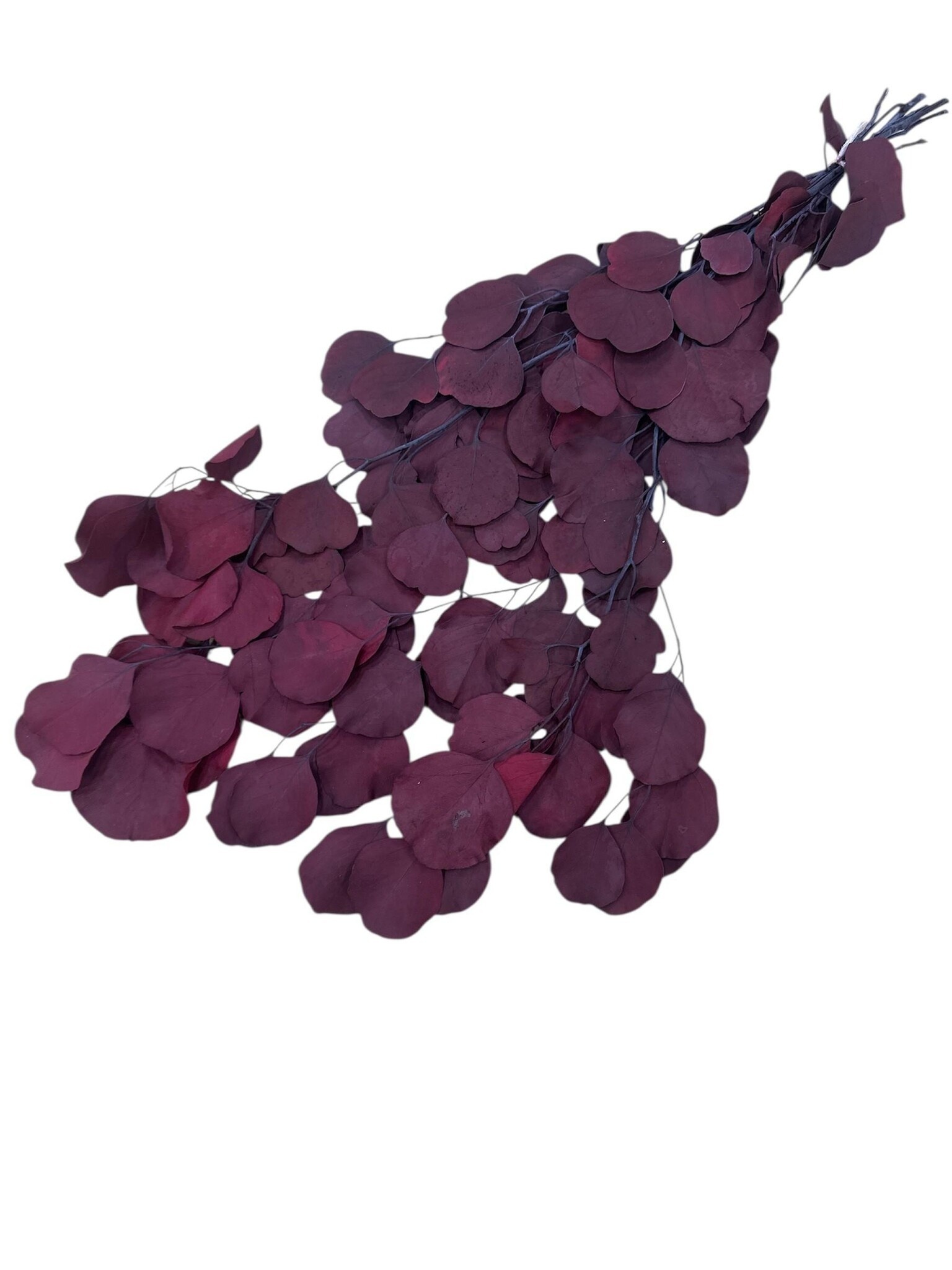 Reserviert Eukalyptus Populus Rot-Natürlich 150g Der Online-Shop fuer Kreative
