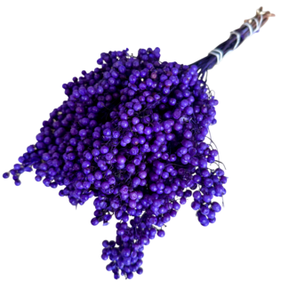 Dutch Dried Paarse Schinus - Peperbessen droogdecoratie | Lengte ± 35 centimeter | Gewicht ± 150 gram