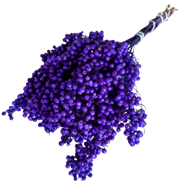 Lila Schinus - Pfefferbeeren Trockenblumendekoration | Länge ± 35 Zentimeter | Gewicht ± 150 Gramm