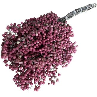 Dutch Dried Schinus rose naturel - Baies de poivre décoration séchée | Longueur ± 35 centimètres | Poids ± 150 grammes