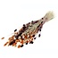 Boeket droogbloemen "Phalaris Terracotta" Mix | | Lengte ± 65 centimeter | Gewicht ± 175 gram