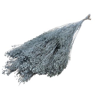 Dutch Dried Grauer Nebel Besenblüte Trockenblumen | Länge ± 55 Zentimeter | Gewicht 100 Gramm