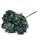 Blue Hydrangea | Preserved Hydrangea | Length ± 60 centimetres | Per 2 pieces