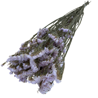 Dutch Dried Milka Purple Statice Sinuata dried flowers | Length ± 70 centimetres | Weight ± 75 grams